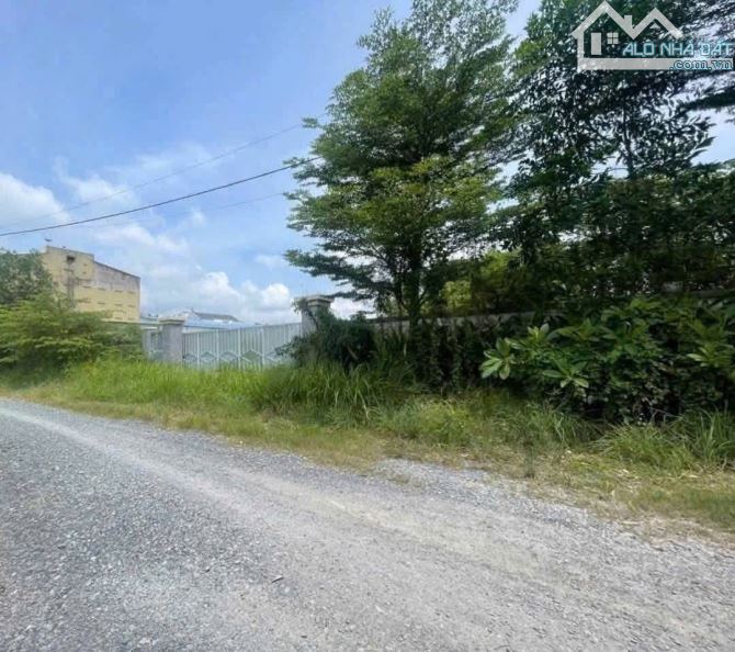 RẺ NHẤT BÌNH MỸ – 3.800m² FULL TƯỜNG RÀO – GẦN VÀNH ĐAI 3 – GIÁ CHỈ 28 TỶ‼️ - 2