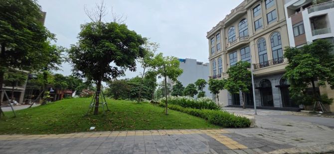 VƯỜN ĐÀO ĐÔNG ANH  THẤP HƠN HÀNG XÓM 20 GIÁ CHỐT ALO E ĐẢNG GẬP TRỰC TIẾP ĐẦU TƯ LÀ THẮNG - 3