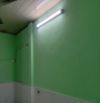 Cho thuê nhà nguyên căn Quang Trung Phường 10, gần 50m2, 7 triệu/tháng.