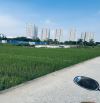 📍 41m² – tại Mai Hiên, Mai Lâm, Đông Anh ✅ Vị trí đẹp, đất vuông vắn, giao thông thuận