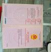 SỞ HỮU LÔ ĐẤT NGAY HỒ SUỐI MÔN GIÁ ƯU ĐÃI TRONG THÁNG CHỈ 450TR CÓ NH HỖ TRỢ