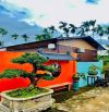 Bán nhà vườn 3,4 sào đường Nguyễn Lương Bằng view đẹp