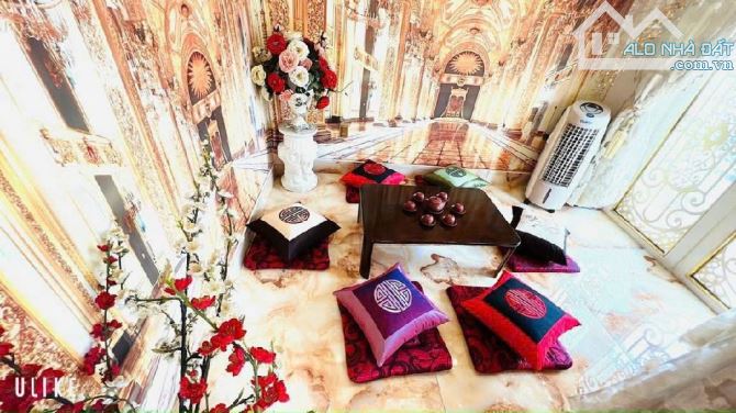 BÁN BIỆT THỰ 8 PHÒNG NGỦ – DÁT VÀNG 18K - 4