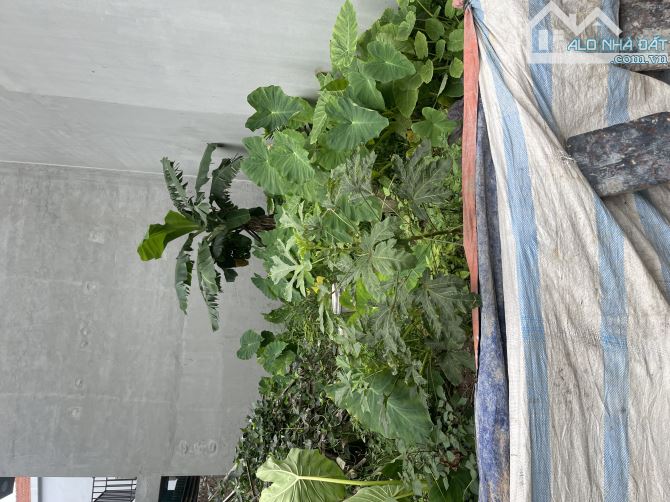 Bán Đất Tu Hoàng - Nam Từ Liêm Ô tô Kinh Doanh 42m giá 6.x tỷ