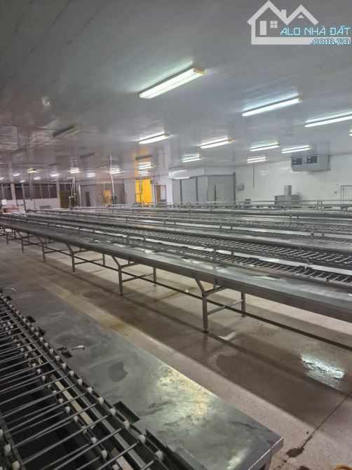 Bán nhà kho 18.260 m2 mặt tiền đuờng tỉnh lộ 864 + mặt sông Tiền,xã Vĩnh Kim,Châu Thành TG