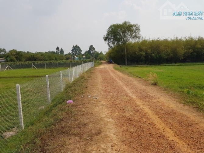 BÁN GẤP LÔ ĐẤT SIÊU RẺ 20.500 M2 - CÂY TRÔM MỸ KHÁNH - PHƯỚC HIỆP CỦ CHI - CHỈ 11.1 TỶ