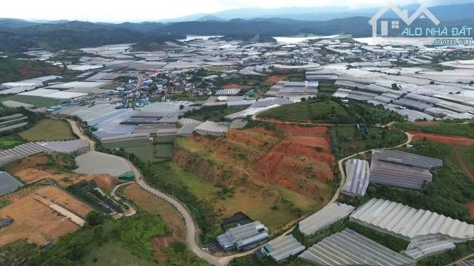 Bán đất đẹp đường lớn Thị Trấn Lạc Dương , Lâm Đồng