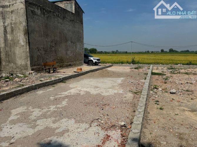 Ko mua mảnh này thì mua mảnh nào nữa