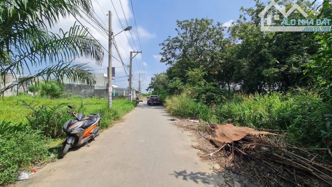 Bán Đất 233m2(9x26,5m). Mặt đường nhựa 5m, tại KDC Ấp 5 An Phước, Long Thành, Đồng Nai