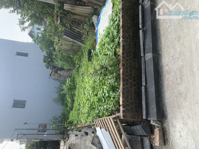 Đất đẹp hàng xóm vin cổ loa, cầu tứ liên, ngõ thông, ô tô tránh