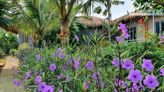 Bán khu vườn nghỉ dưỡng gần 1000m2 tuyệt đẹp Mặt Tiền Đường Long Chiến