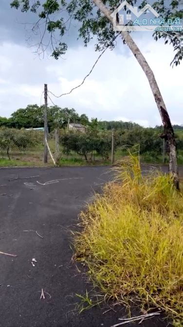 Bán lô đất sào 2 mặt tiền nhựa xã Hòa Hội, tp Hồ Chí Minh