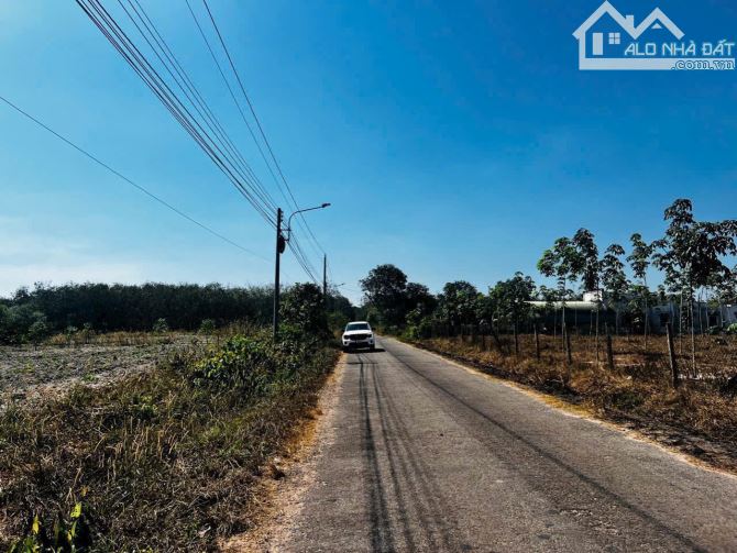 Chủ ngộp bán nhanh 1279m2 đất thanh an Dầu Tiếng , sổ sẵn giá 890 triệu