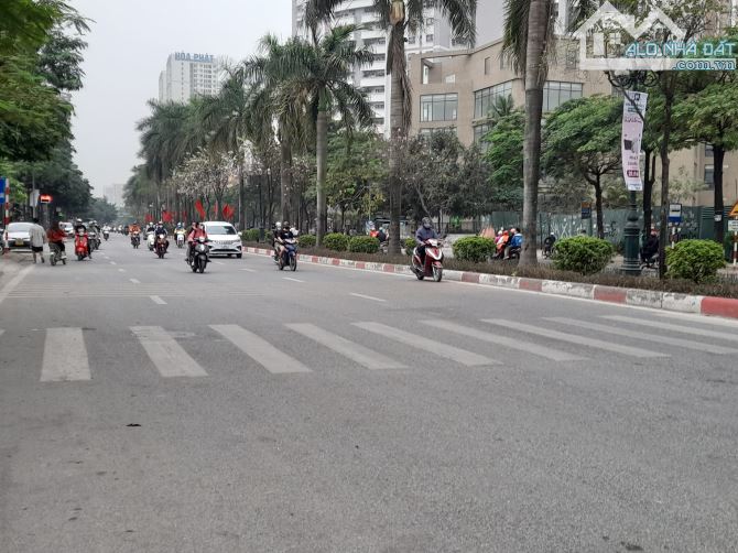 Bán nhà mặt đường Tam Trinh Hoàng Mai DT 1180m2, MT 30m, Giá 90 tỷ - 1