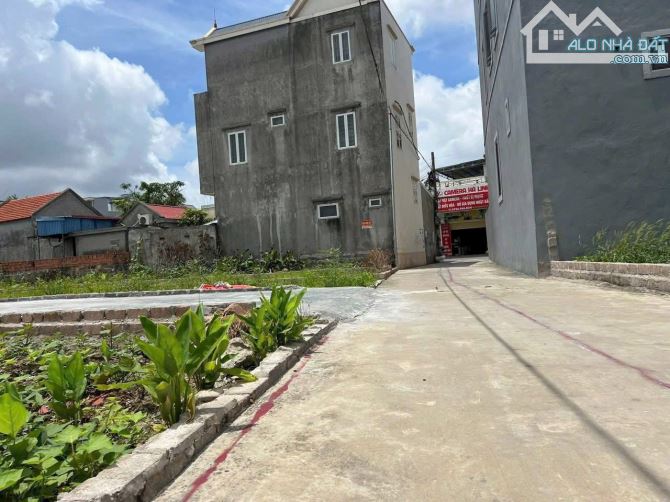 Đất Hoa Động - Thuỷ Nguyên ô tô vào tận đất, cách mặt đường 203 có 20m. - 1