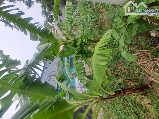 Bán đất thổ cư đường An Phú Đông 9 phường An Phú Đông quận 12 - 1