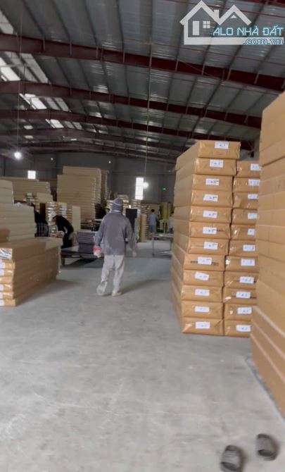CHO THUÊ NHÀ XƯỞNG GẦN 5000M2 TẠI KCN THUẬN THÀNH BẮC NINH. ĐẦY ĐỦ PCCC GIÁ 4$/M2 - 1