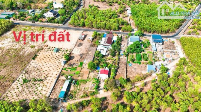 Đường ven núi Minh Đạm cách biển 2km 592m2(10x59) giá chỉ 2,5tỷ - 1