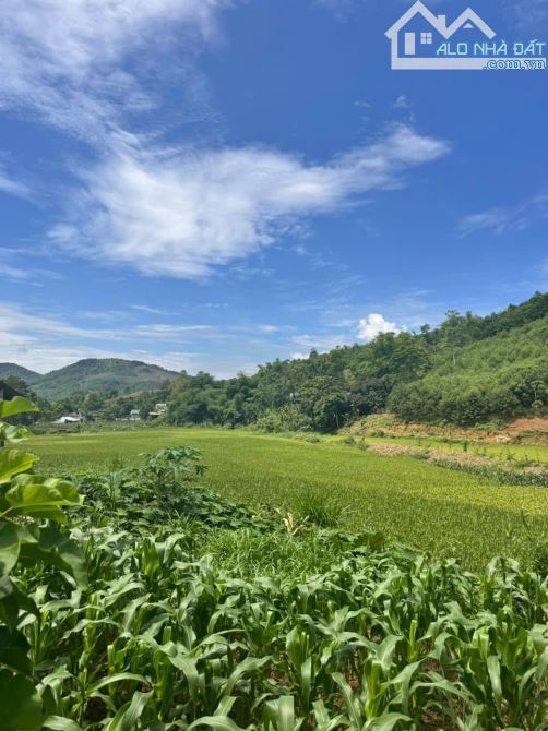 Chủ cắt bán khoảng 1500m có 250m thổ cư tại Kim Lập, Kim Bôi, Hòa Bình - 1