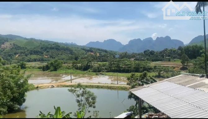 Diện tích: 1.400m² (1.000m² thổ cư, còn lại là đất trồng CLN) tại Kim Bôi, Hòa Bình. - 1