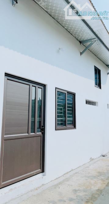 CHỦ CẦN TIỀNN MUỐN BÁNN GẤP MẢNH ĐẤT 82M TẶNG NHÀ CẤP 4 ĐẠI MẠCH CHỈ HƠN 3Đ - 1