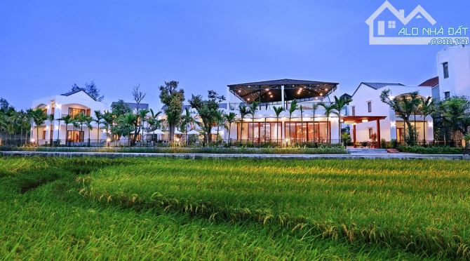 BÁN KHU NGHĨ DƯỠNG HỘI AN 85 TỶ .1600M2 - 1
