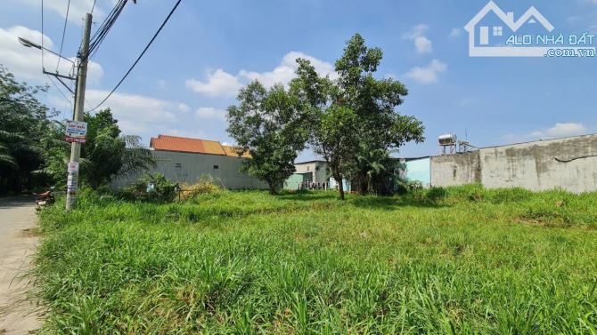 Bán Đất 233m2(9x26,5m). Mặt đường nhựa 5m, tại KDC Ấp 5 An Phước, Long Thành, Đồng Nai - 1