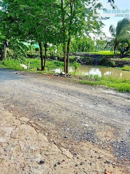 💎 Bán nhà vườn (12 x 43m) 300mv thổ đường xe hơi vivu xã Kiểng Phước, Gò Công Đông - 1