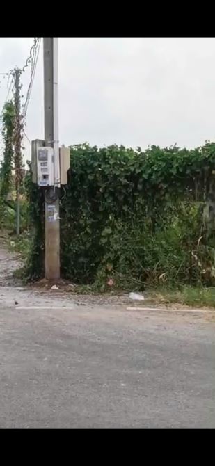 D216 + bán lô 4 lô đất làng bưởi CÙ LAO Tân Triều  , Đồng Nai ———————- Vị trí đường nhựa , - 1
