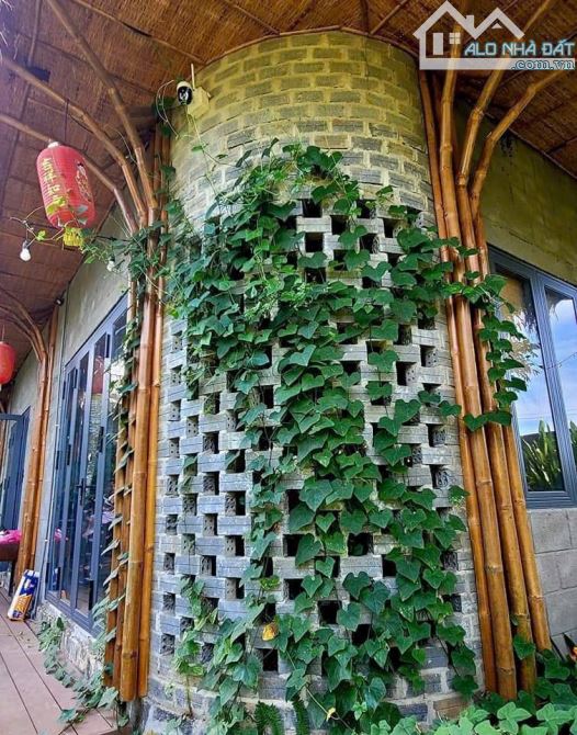 Bán khu vườn nghỉ dưỡng gần 1000m2 tuyệt đẹp Mặt Tiền Đường Long Chiến - 1