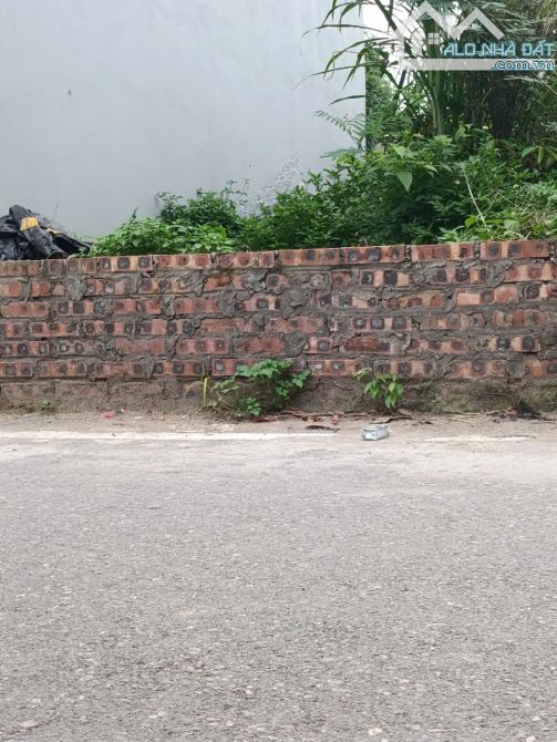 BÁN ĐẤT KIM NỖ 220M ĐƯỜNG THÔNG ÔTÔ 2 MẶT ĐƯỜNG   TRƯỚC SAU - 2