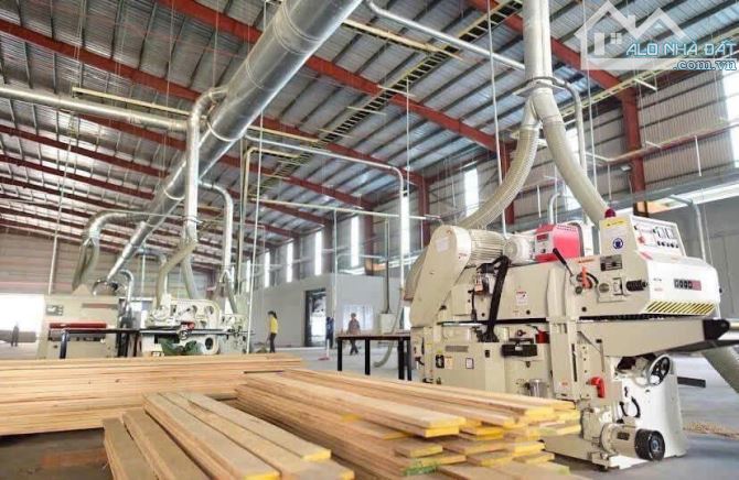 SANG NHƯỢNG NHÀ MÁY GỖ 14.650m²  KCN NHỊ XUÂN, HÓC MÔN– GIÁ 135 TỶ CHƯA VAT - 2