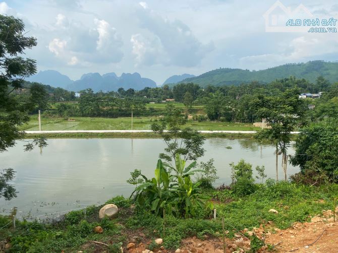 Diện tích: 1.400m² (1.000m² thổ cư, còn lại là đất trồng CLN) tại Kim Bôi, Hòa Bình. - 2