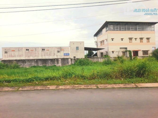 Quá đẹp, 261m2 đất thổ góc 2 mặt tiền 10x 26m chỉ 790tr - 2