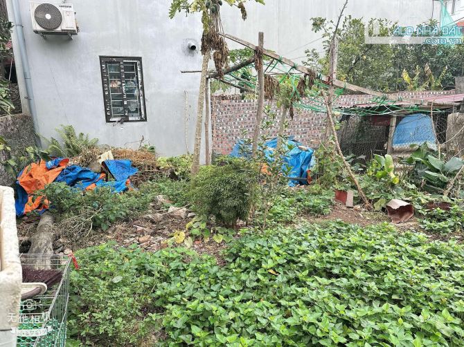 CẦN BÁN LÔ ĐẤT ĐẸP TẠI THÔN ĐOÀI – NAM HỒNG – ĐÔNG ANH – HÀ NỘI - 2