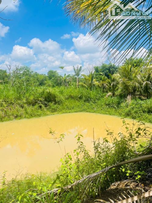 🔥 GIẢM GIÁ SỐC – CHỈ CÒN 4,5 TỶ ‼️ 80m MẶT TIỀN – CÓ AO – TRỒNG CÂY ĂN TRÁI – VIEW CỰC CH - 2