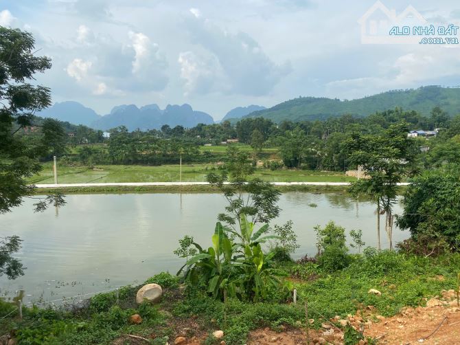 Diện tích: 1.400m² (1.000m² thổ cư, còn lại là đất trồng CLN) tại Kim Bôi, Hòa Bình. - 3