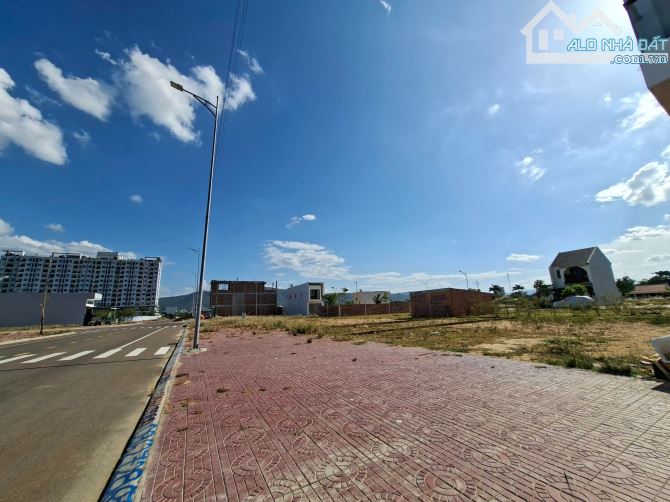 BÁN ĐẤT CHỢ DINH QUY NHƠN. GIỎ HÀNG NHÌU LÔ - 3