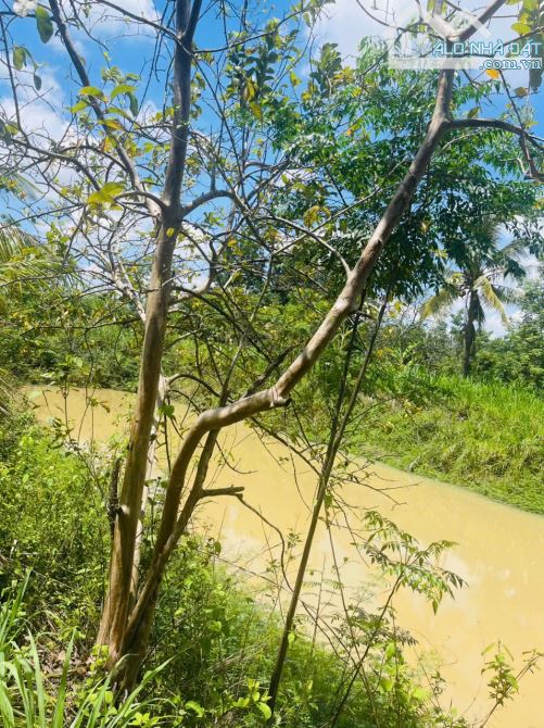 🔥 GIẢM GIÁ SỐC – CHỈ CÒN 4,5 TỶ ‼️ 80m MẶT TIỀN – CÓ AO – TRỒNG CÂY ĂN TRÁI – VIEW CỰC CH - 3