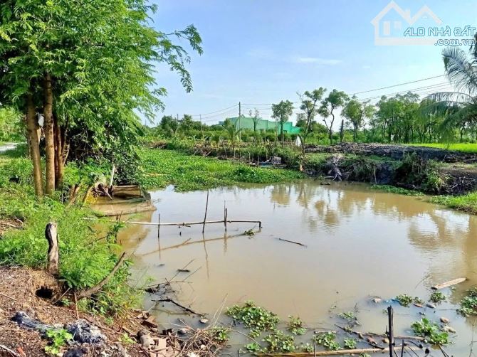 💎 Bán nhà vườn (12 x 43m) 300mv thổ đường xe hơi vivu xã Kiểng Phước, Gò Công Đông - 3