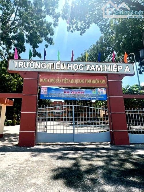 BÁN ĐẤT TAM HIỆP, SỔ HỒNG RIÊNG THỔ CƯ ĐƯỜNG NHỰA 5m GẦN CẤP 1 TAM HIỆP A (D277) - 4