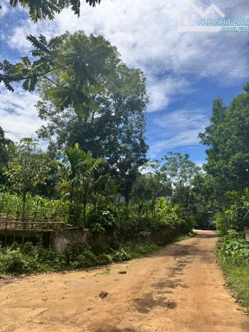 Chủ cắt bán khoảng 1500m có 250m thổ cư tại Kim Lập, Kim Bôi, Hòa Bình - 4