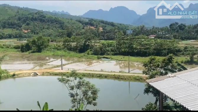Diện tích: 1.400m² (1.000m² thổ cư, còn lại là đất trồng CLN) tại Kim Bôi, Hòa Bình. - 4
