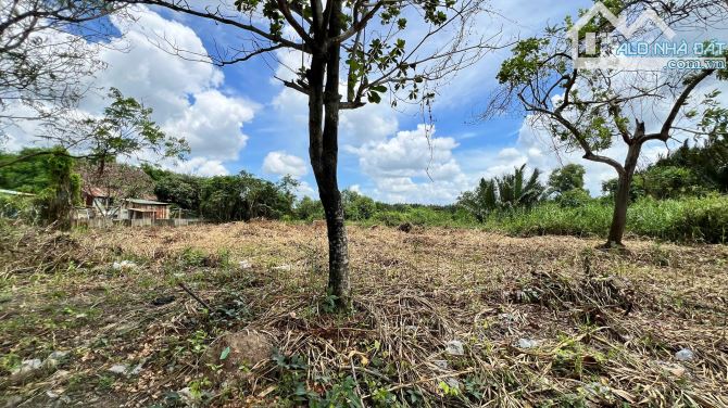 BÁN 8260M2 ĐẤT NÔNG NGHIỆP.  GẦN CẦU BÀ SÁU. QUY HOẠCH ĐẤT Ở, KHU ĐÔNG DÂN CƯ. - 4