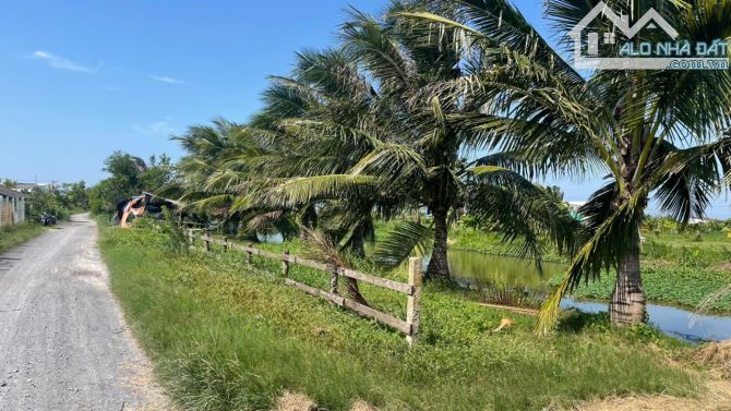 1,6 tỷ đất có vườn cây trái sẵn, mặt tiền kênh 3 gần biển Rạch Bùn, xãTân Điền, Đồng Tháp - 5
