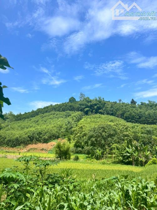 Chủ cắt bán khoảng 1500m có 250m thổ cư tại Kim Lập, Kim Bôi, Hòa Bình - 5