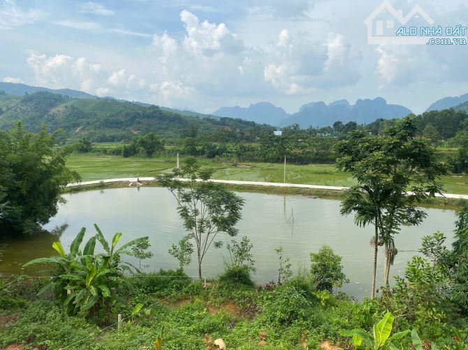 Diện tích: 1.400m² (1.000m² thổ cư, còn lại là đất trồng CLN) tại Kim Bôi, Hòa Bình. - 5