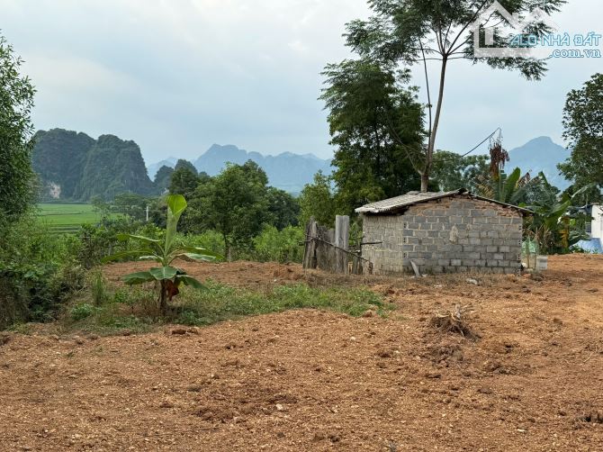Lô đất khoảng 1300m2 có 200m2 thổ cư tại xóm Lựng-Cuối Hạ-Kim Bôi - 5