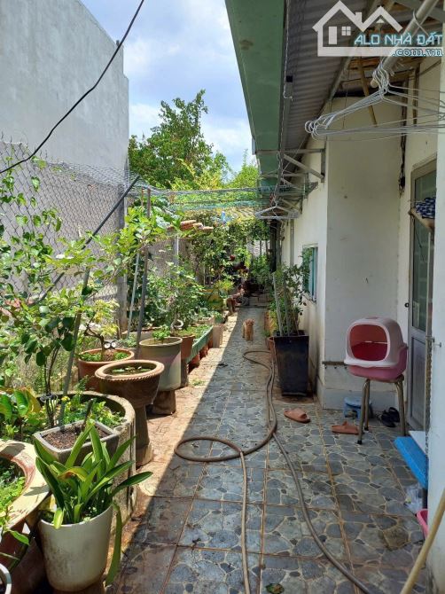 3,8Tỷ TL🔥Bán nhà cấp 4_ 135,4m2 Mặt Tiền đường Bình Nhâm 62 P.Bình Nhâm, Tp.Thuận An - 5