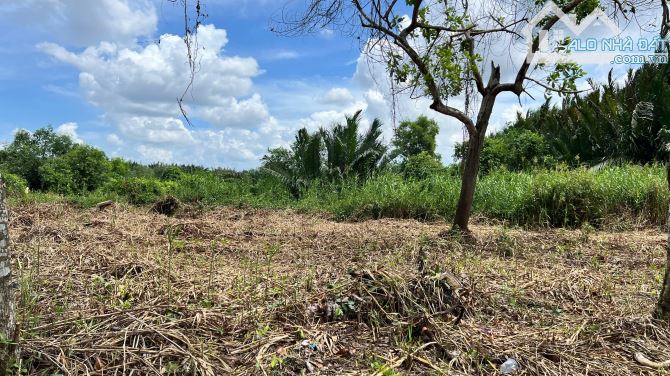 BÁN 8260M2 ĐẤT NÔNG NGHIỆP.  GẦN CẦU BÀ SÁU. QUY HOẠCH ĐẤT Ở, KHU ĐÔNG DÂN CƯ. - 5